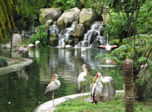 Kuala Lumpur Bird Park